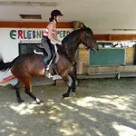 Hochegg Pensionat 3*
