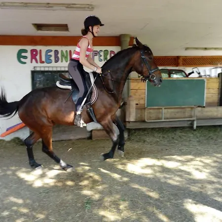 Pferdehof Hochegg Gasthof 3*